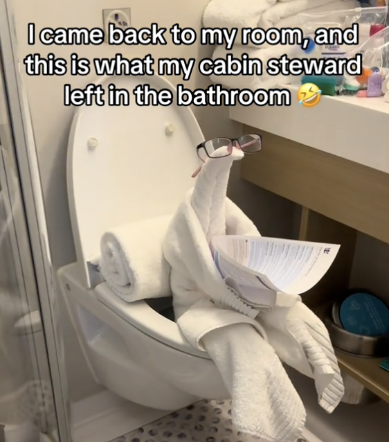 towel creature on toilet